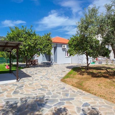 Aethra House In Agria Volou Villa Eksteriør billede