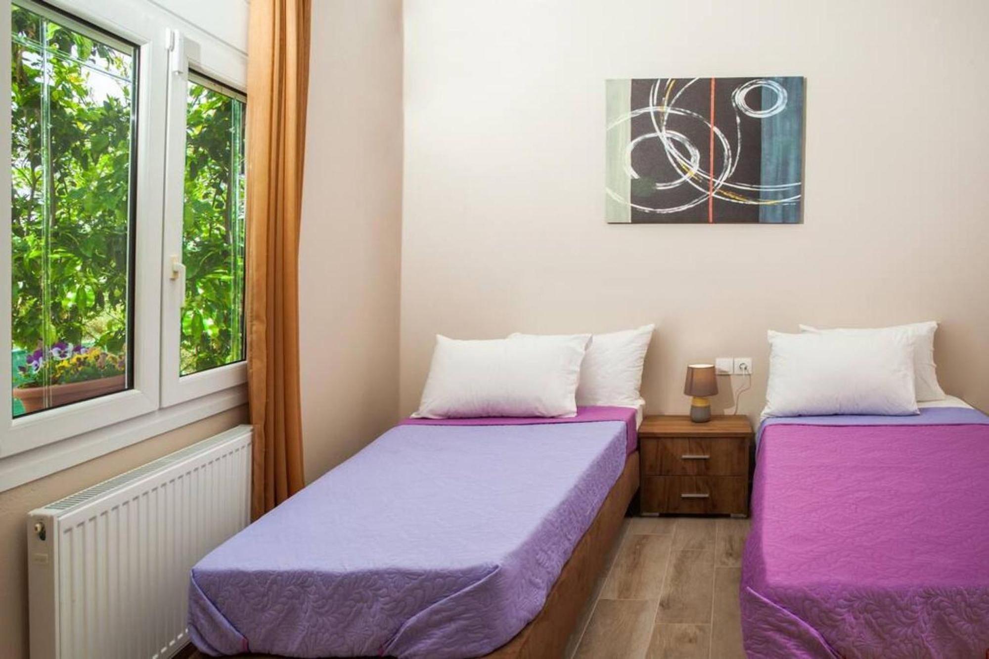 Aethra House In Agria Volou Villa Eksteriør billede